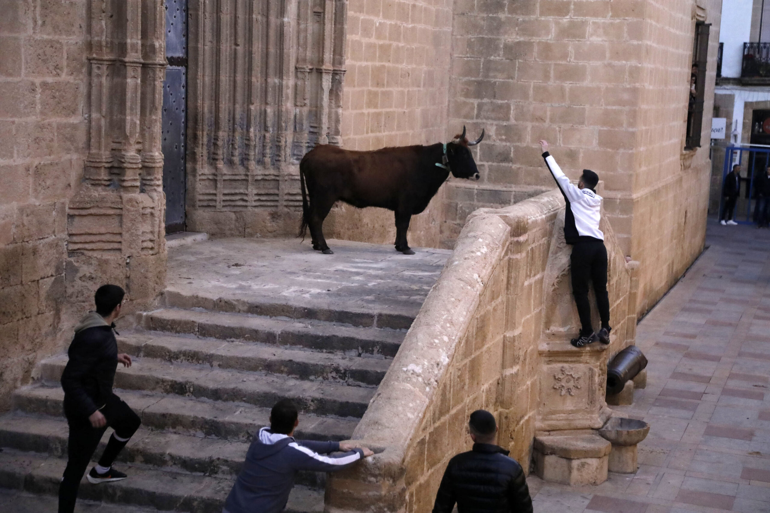 Sesión taurina en las fiestas de Sant Sebastià Xàbia 2025 (10)