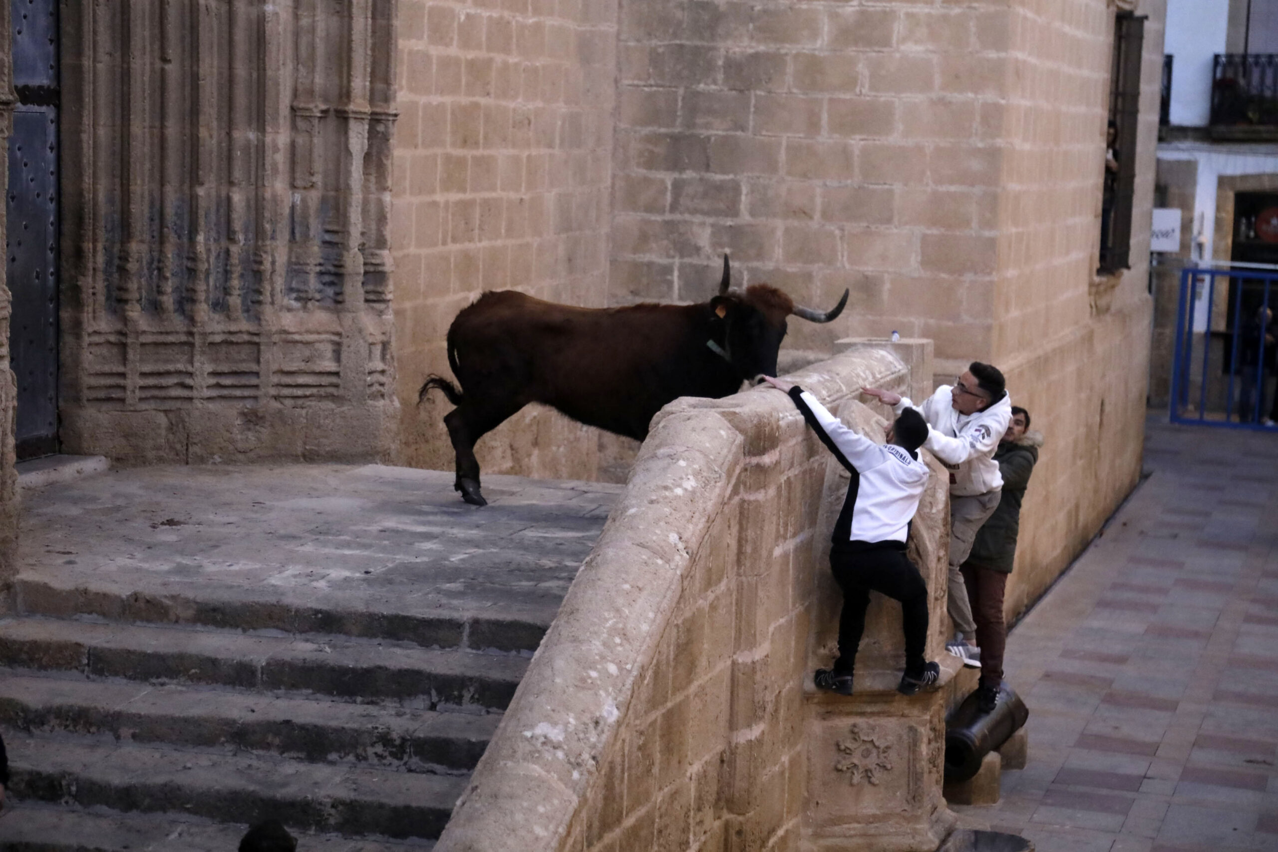 Sesión taurina en las fiestas de Sant Sebastià Xàbia 2025 (11)