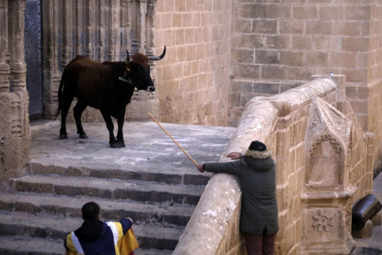 Sesión taurina en las fiestas de Sant Sebastià Xàbia 2025 (13)