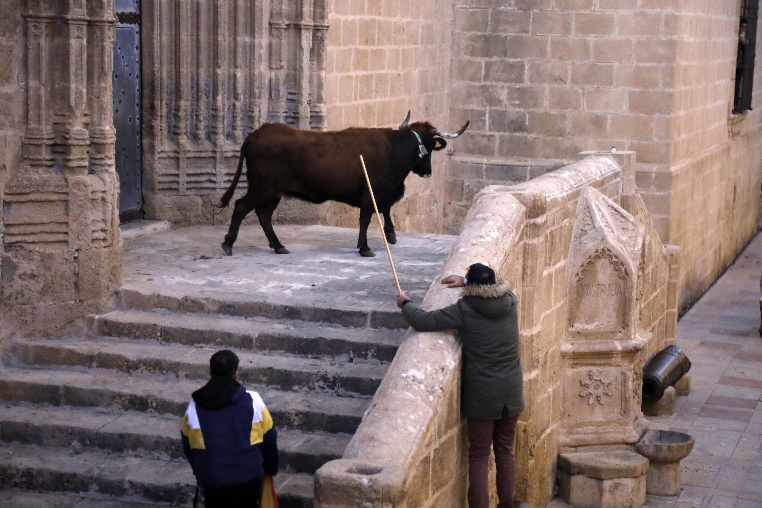 Sesión taurina en las fiestas de Sant Sebastià Xàbia 2025 (14)