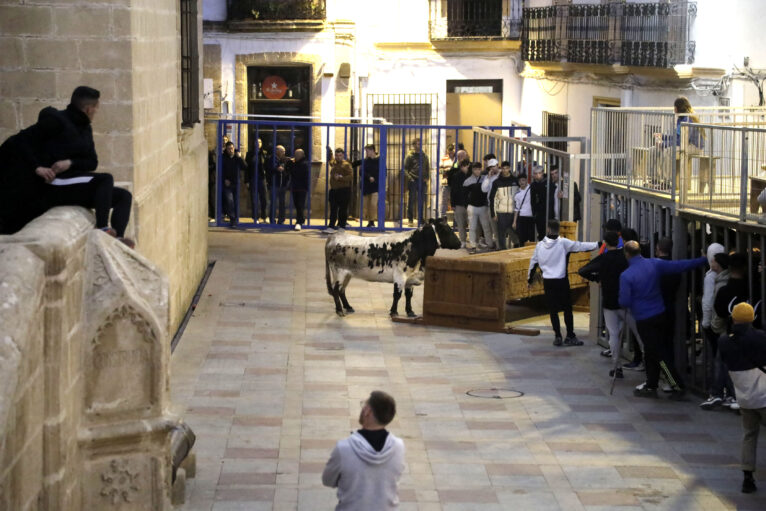 Sesión taurina en las fiestas de Sant Sebastià Xàbia 2025 (18)