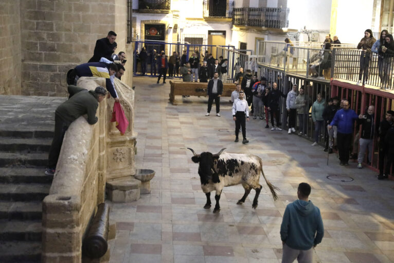 Sesión taurina en las fiestas de Sant Sebastià Xàbia 2025 (19)