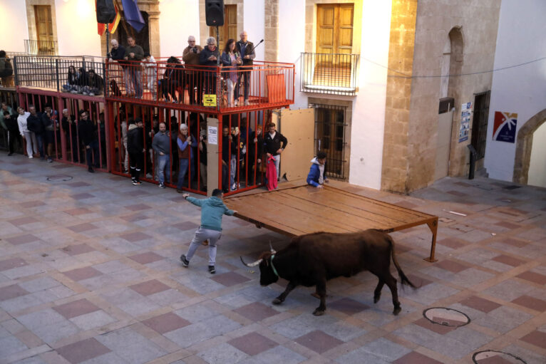 Sesión taurina en las fiestas de Sant Sebastià Xàbia 2025 (3)