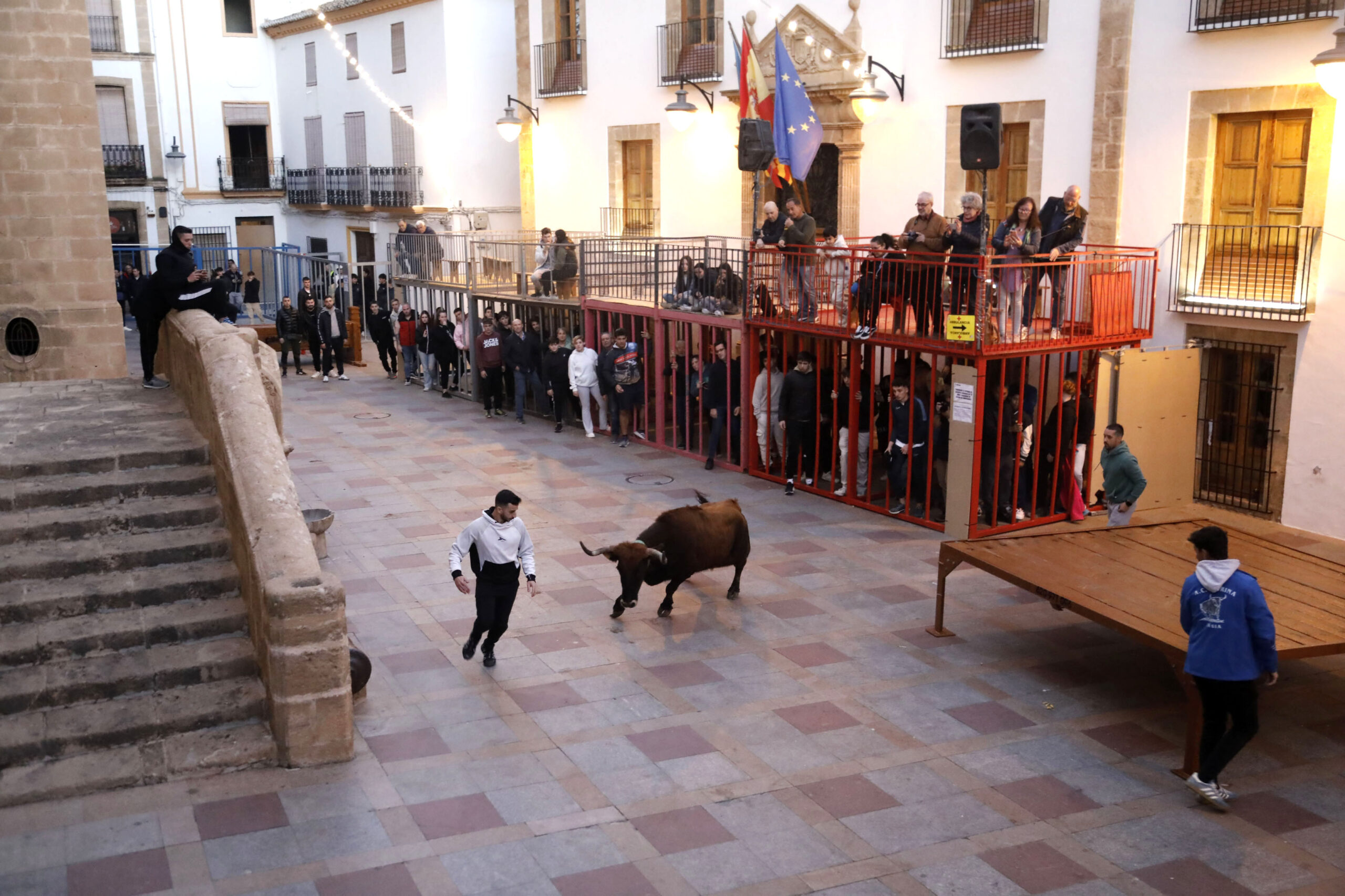 Sesión taurina en las fiestas de Sant Sebastià Xàbia 2025 (5)