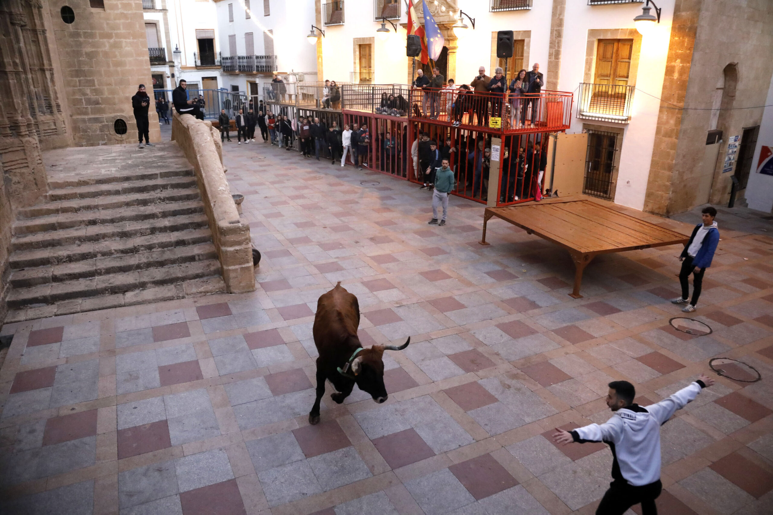 Sesión taurina en las fiestas de Sant Sebastià Xàbia 2025 (6)