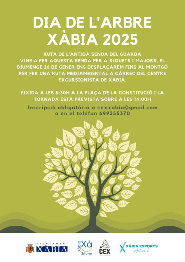 Imagen: Actividad Día del Árbol