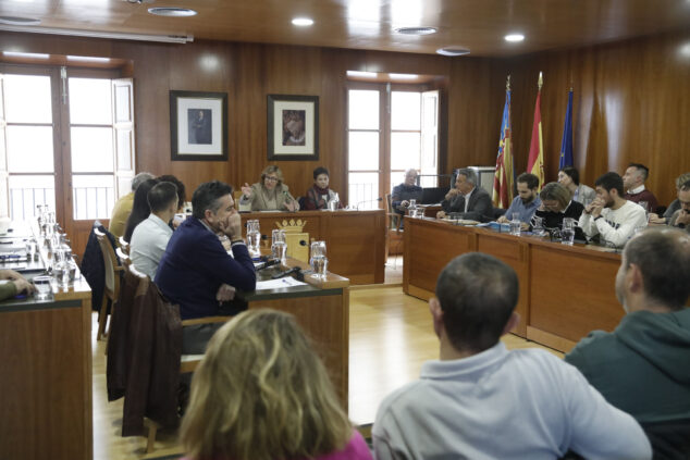 Imagen: Pleno monográfico sobre la piscina de Xàbia