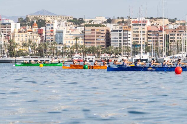 Imagen: Regata en el puerto de Alicante