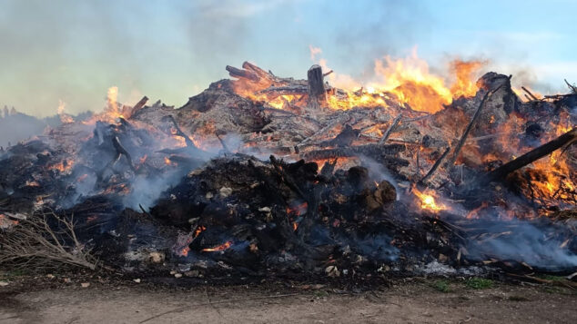 Imagen: Incendio en la zona del Saladar de Xàbia