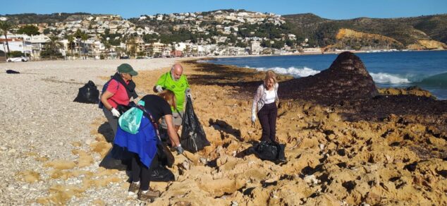 Imagen: Voluntarios con la limpieza de residuos